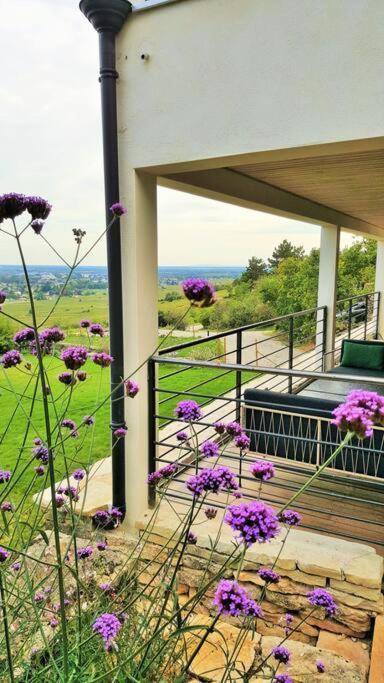 La Maison De L'Ecu : Charme Et Vue Incroyable بون المظهر الخارجي الصورة